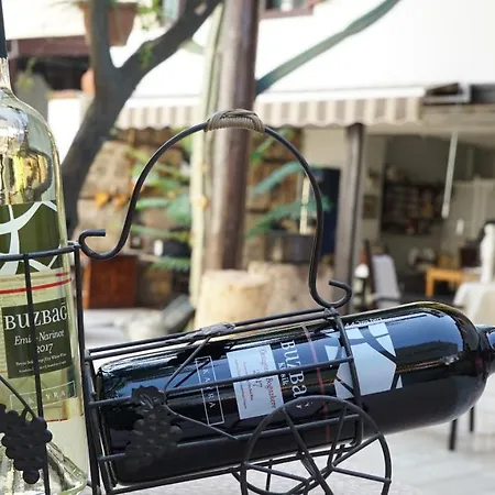 阿特尔亚艺术酒店 酒店
